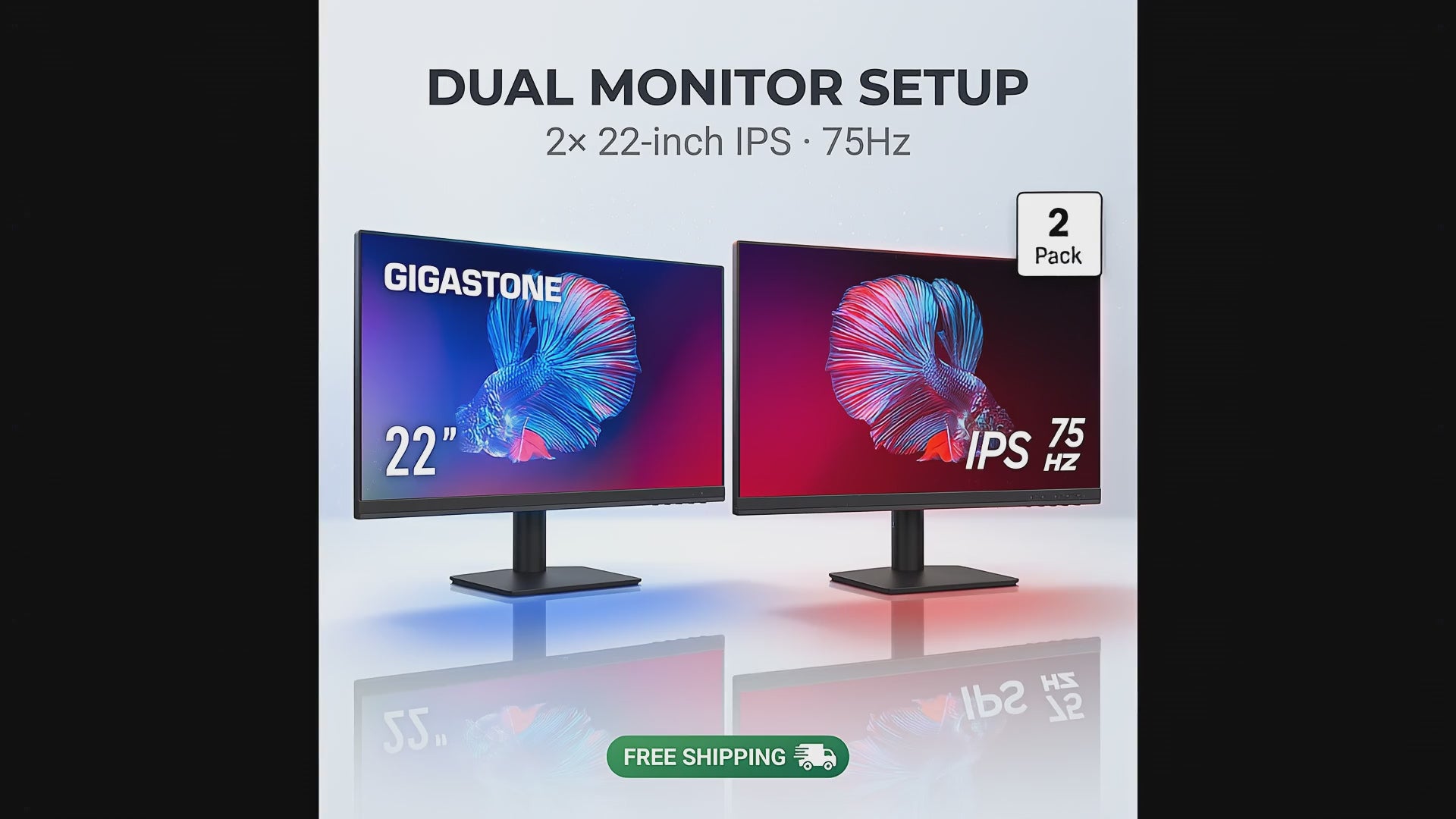 Dual Monitor